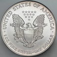 USA, Dolar 1999, Statua, st 1, uncja srebra