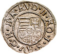 D373. Wegry, Denar 1581, Rud II, st 3-2