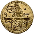 B110. Turcja, Zeri Mahbub AH1203/10 (1798), Selim III, st 2-1