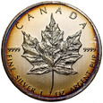 A64. Kanada, 5 dolarów 2013, Liść klonowy, uncja srebro, patyna