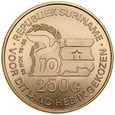 D9. Surinam, 250 guldenów 1985, st 1