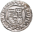 E12. Wegry, Denar 1555, Ferd I, st 3-2