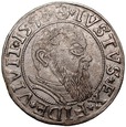 A195. Grosz pruski lenny 1541, Albrecht, st 3+