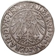 A195. Grosz pruski lenny 1541, Albrecht, st 3+