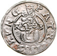 D384. Wegry, Denar 1585, Rud II, st 3