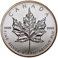 D198. Kanada, 5 dolarów 2013, Liść klonowy, uncja st 1- patyna
