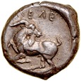 D43. Grecja, Stater, Kelenderis, Cilicia, 425-400 r pne