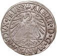 C152. Grosz pruski lenny 1542, Albrecht, st 3++