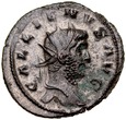 C203. Rzym, Antoninian, Gallienus, st 2