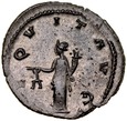 C203. Rzym, Antoninian, Gallienus, st 2