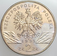 N36. III RP, 2 złote 1995, Sum, st. 1