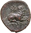 A162. Grecja, Ionia, Miletos, Bronze Ae-21mm, 200 BC.