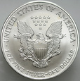 USA, Dolar 2006, Statua, st 1, uncja srebra