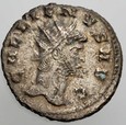 C89. Rzym, Antoninian, Gallienus, st 2+