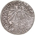 E101. Albrecht Hohenzollern 1525-1568 Grosz 1546 Królewiec, ST 2