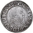 c388. Albrecht Hohenzollern 1525-1568 Grosz 1546 Królewiec, ST 2-