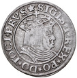 D 303. Grosz pruski 1530, Zyg I, st 3