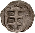 A12. Jadwiga i Władysław Jagiełło 1386-1399, Denar, Wschowa