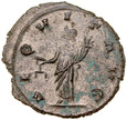 B117. Rzym, Antoninian, Gallienus, st 2