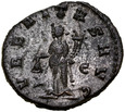 C223. Rzym, Antoninian, Gallienus, st 2