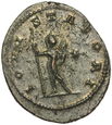 B312. Rzym, Antoninian, Gallienus, st 2-