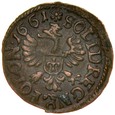 C268. Szeląg koronny 1661, Jan Kazimierz, st 3+ 