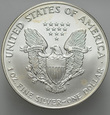 C349. USA, Dolar 2001, Statua, st 1, uncja srebra