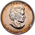 Kanada, 5 dolarów 2013, Liść klonowy, uncja st 1 patyna