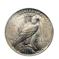 M02600 1 Dolar 1923 rok USA Peace