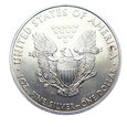 9094NS 1 Dolar 2010 USA Srebrny Orzeł