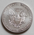USA Liberty Dolar 2013
