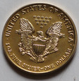USA Liberty Dolar 2003  plater