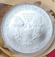 USA Liberty Dolar 2007 kolor-literki