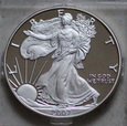 USA 1 Dolar Liberty 2007 proof