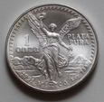 Meksyk Plata Pura 1991