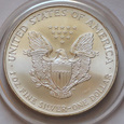 USA 1 Liberty Dolar 1999 kolor #2