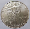 P35982  USA DOLAR 2007 SILVER EAGLE UNC 