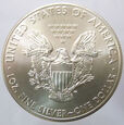 R30755  USA DOLAR 2013 SILVER EAGLE UNC 