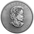 25x Kanada 5 dolarów - Liść Kolonu 2021 - uncja Ag