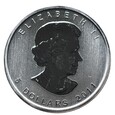 zdjęcie główne