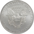 USA DOLAR 2010 SILVER EAGLE st. 1