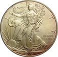 USA DOLAR 2009 SILVER EAGLE st. 1