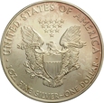 USA DOLAR 2009 SILVER EAGLE st. 1