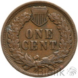 305. USA, 1 cent, 1898, Indianin