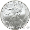 24. USA, 1 dolar, 2006, Amerykański srebrny orzeł