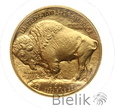 USA, 50 dolarów 2013, bizon, uncja złota