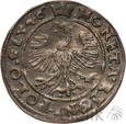 1098. Zygmunt I Stary, Kraków, grosz, 1546 #SJ