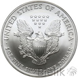 343. USA, 1 dolar, 2007, Amerykański srebrny orzeł 