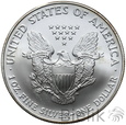 405. USA, 1 dolar, 2007, Amerykański srebrny orzeł