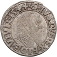 B291. Polska, Prusy Książęce, Albrecht Hohenzollern, grosz 1544